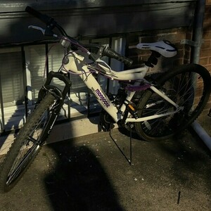 Mongoose Ledge White and Purple