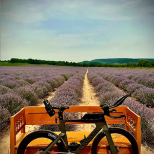 2024 Canyon bicycles Speedmax CF 7 AXS Silver, gray or bare metal