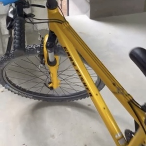 Gary Fisher Advance Yellow or Gold