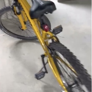 Gary Fisher Advance Yellow or Gold