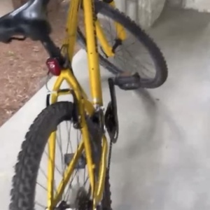 Gary Fisher Advance Yellow or Gold