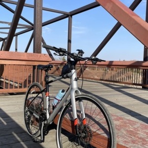 Unknown Silver, gray or bare metal