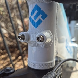 Lectric eBikes XP 2.0 I believe White and Teal