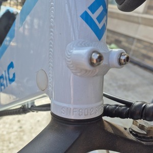 Lectric eBikes XP 2.0 I believe White and Teal