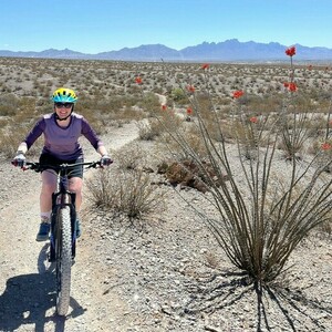 2018 Liv Pique Advanced 2 Purple