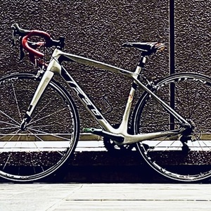 2016 Felt Z5 Silver, gray or bare metal