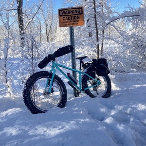 Surly Ice Cream Truck - Safety Mask Blue