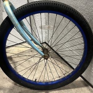 2011 3G Woman’s cruiser