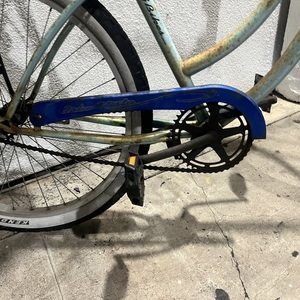 2011 3G Woman’s cruiser Green