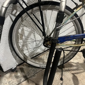 2011 3G Woman’s cruiser Green