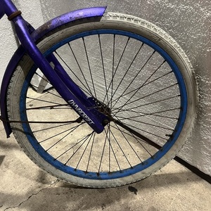 2014 Dynacraft Woman’s cruiser