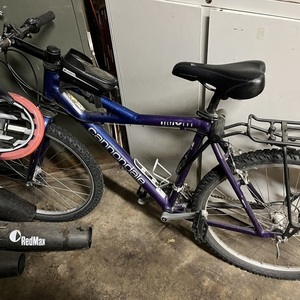 1993 Cannondale Delta V 700 Purple