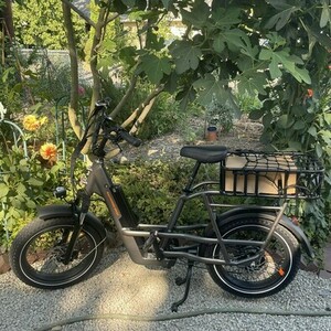 2024 Rad Power Bikes Radrunner 3+ Black