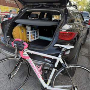 Bianchi Silvia White