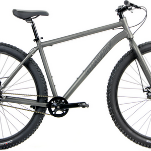 2025 Gravity DeadEye Silver, gray or bare metal