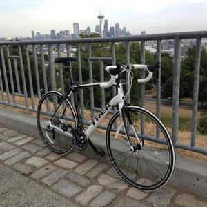 2013 Trek Domane 4.5 (Compact) White and Black