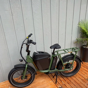 2021 Rad Power Bikes Radrunner electric utility bike Green