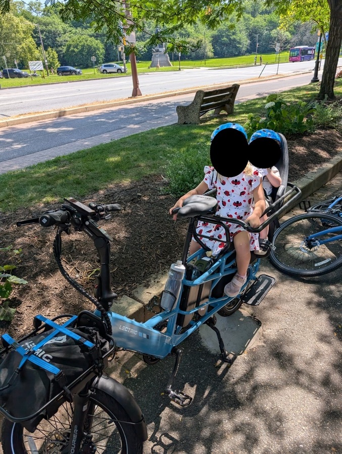 Cargo Bike Rear photo
