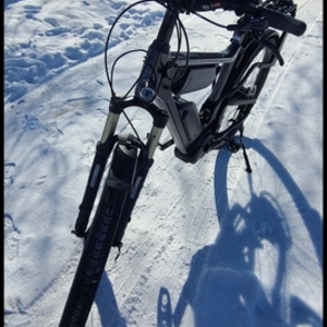 2017 Riese & Müller Delite NuVinci HS dual Battery Silver, gray or bare metal