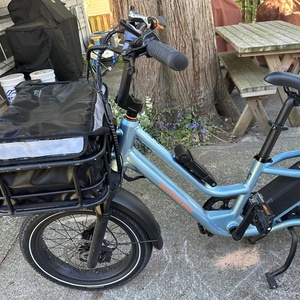 2025 Rad Power Bikes Wagon 5 cargo bike rear Blue