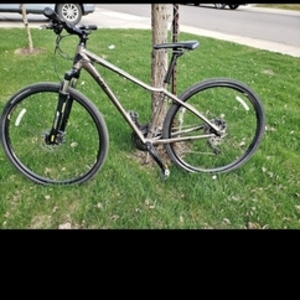 2017 Liv aluminum Silver, gray or bare metal