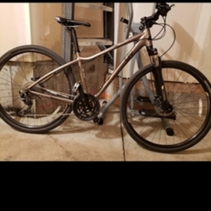 2017 Liv aluminum Silver, gray or bare metal