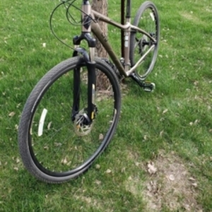 2017 Liv aluminum Silver, gray or bare metal