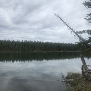 2018 Volt Bike Mariner Black