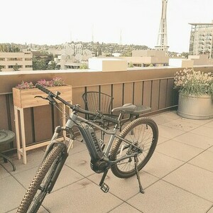 2022 Giant E 3+ (29")