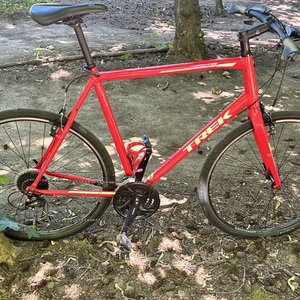 2019 Trek Red