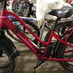 2020 Biktrix Stunner LV Red