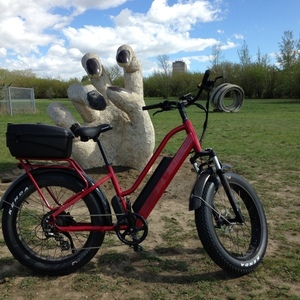 2020 Biktrix Stunner LV Red