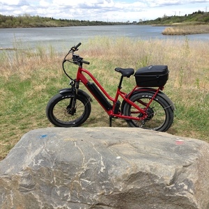 2020 Biktrix Stunner LV Red