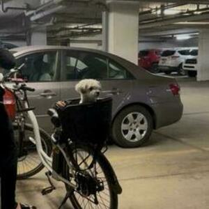 2021 Shimano C6 White and Orange