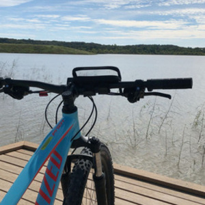 2018 Specialized Teal