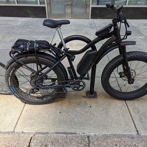 Area 13 / Bolton Blackbird Black