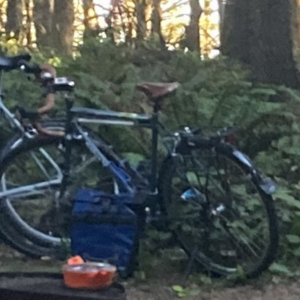 Surly Long Haul Trucker Silver, gray or bare metal and Stickers tape or other cover-up