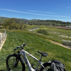 Trek Silver, gray or bare metal