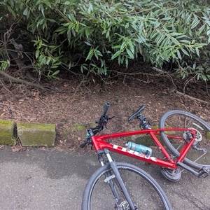 2022 Trek Dual Sport 2 Red