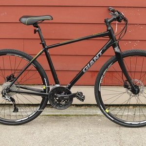 2017 Giant Black and Green