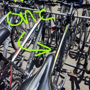 2017 Giant Black and Green