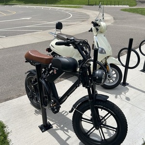 2025 Movcan V30 Black and Brown