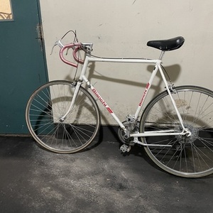 Bianchi White