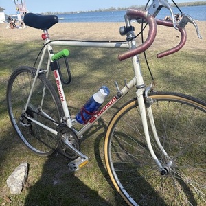 Bianchi White