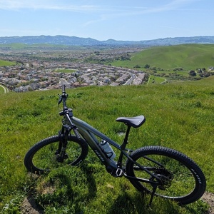 2025 Aventón Ramblas Green