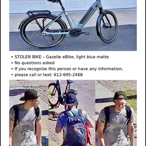 2024 Gazelle C8 Teal