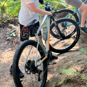 Marin Bikes Bobcat Trail Silver, gray or bare metal