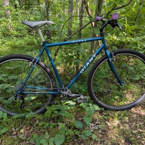 1994 Giant Nutra Blue