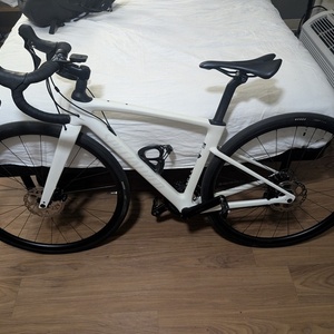 2024 Specialized Roubaix Sport Disc White