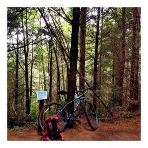 2017 Trek Marlin 5 Black and Blue